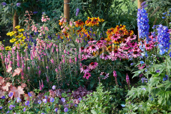 Perennial garden Perennial garden