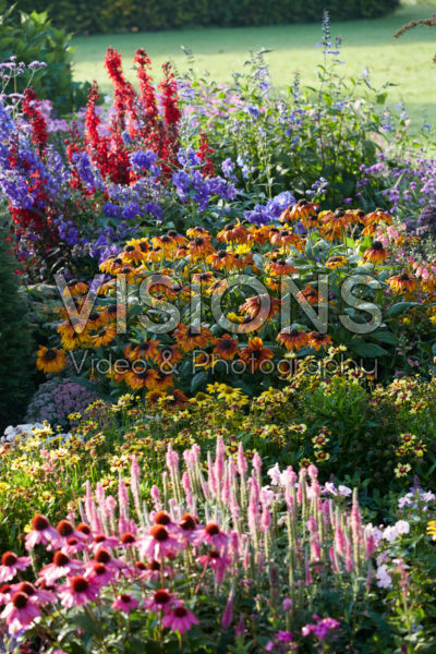 Vaste planten tuin Vaste planten tuin