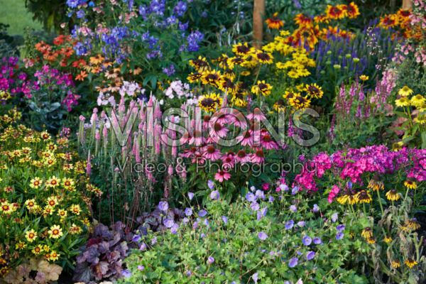 Perennial garden