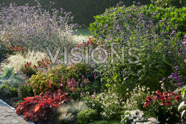 Perennial garden Perennial garden