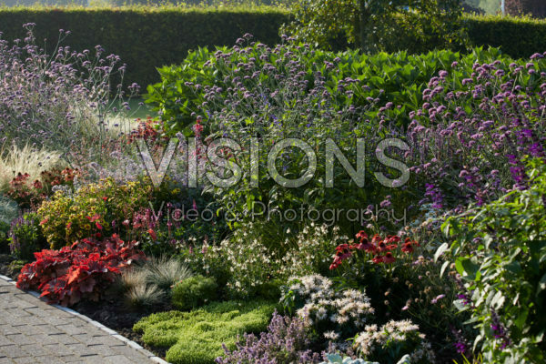 Vaste planten tuin Vaste planten tuin
