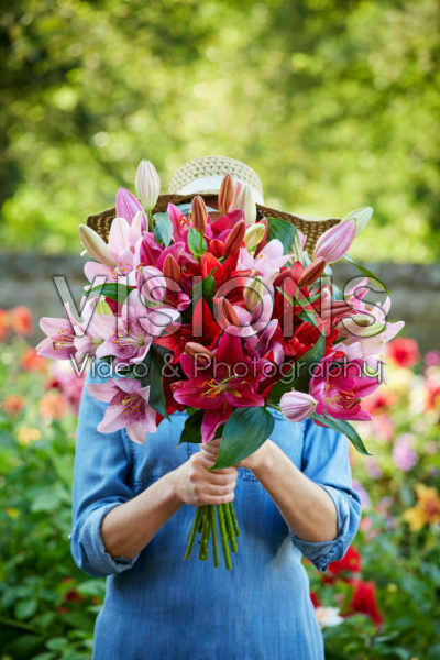 Lady holding bunch of lilies Lady holding bunch of lilies