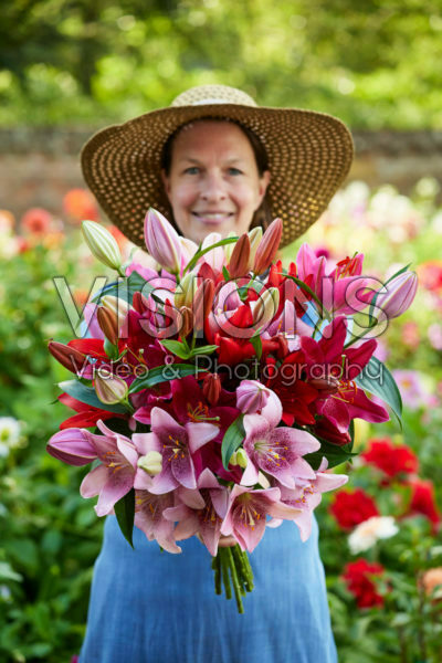 Lady holding bunch of lilies Lady holding bunch of lilies