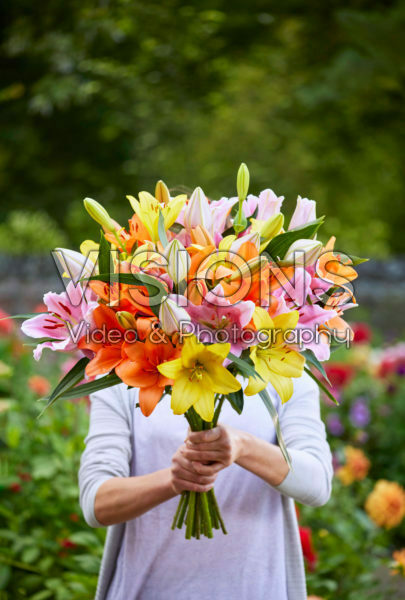 Lady holding bunch of lilies Lady holding bunch of lilies