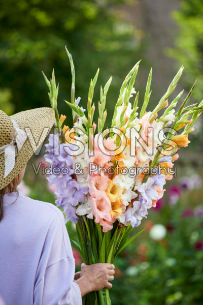 Lady holding bunch of gladioli