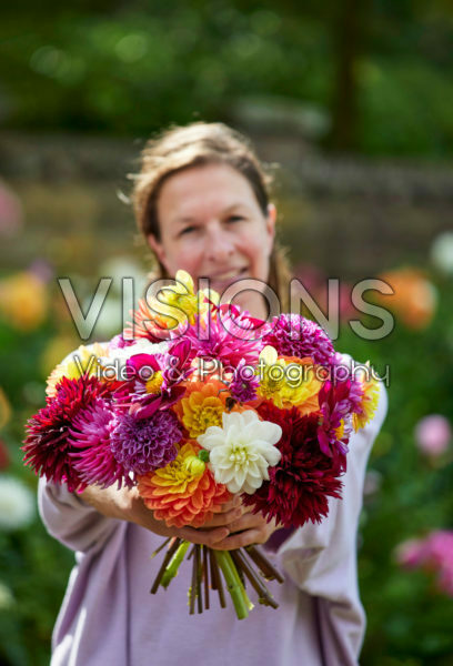 Lady holding bunch of dahlias Lady holding bunch of dahlias