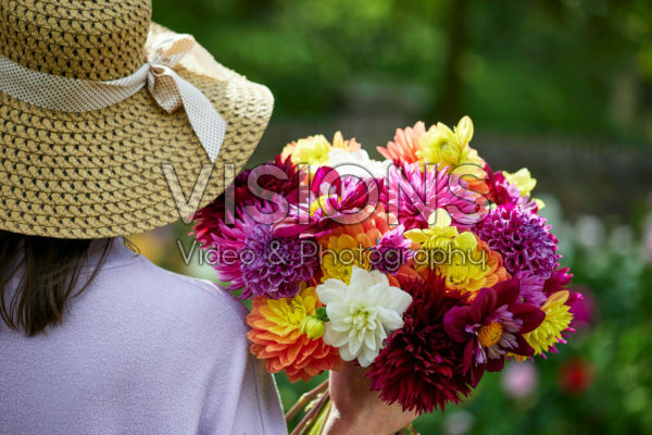 Lady holding bunch of dahlias