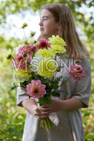 Lady holding bunch of dahlias Lady holding bunch of dahlias