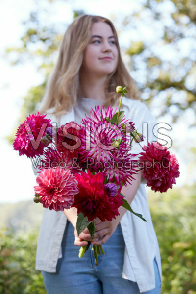 Lady holding bunch of dahlias Lady holding bunch of dahlias