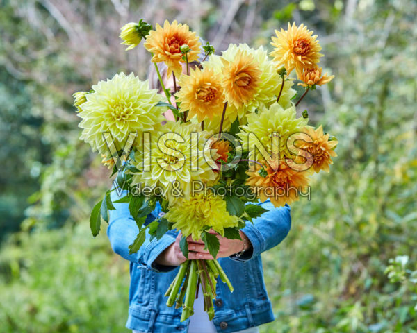 Dame met bos dahlia's Dame met bos dahlia's