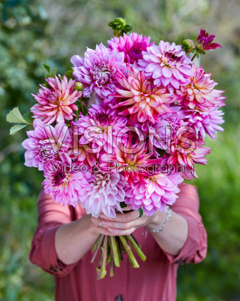 Dame met bos dahlia's Dame met bos dahlia's