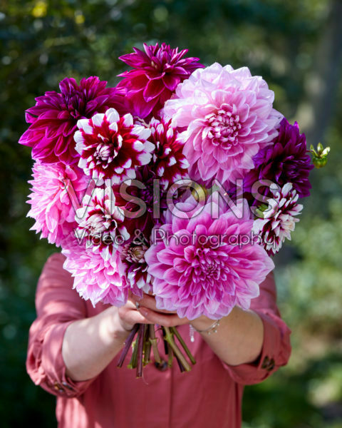 Dame met bos dahlia's Dame met bos dahlia's
