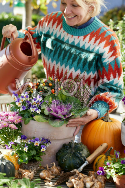 Watering autumn container