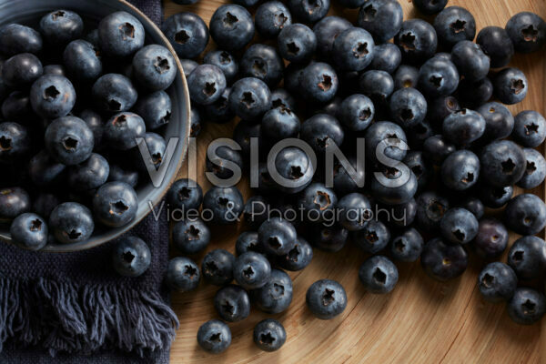 Vaccinium corymbosum