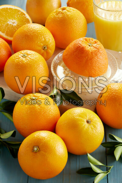 Citrus sinensis
