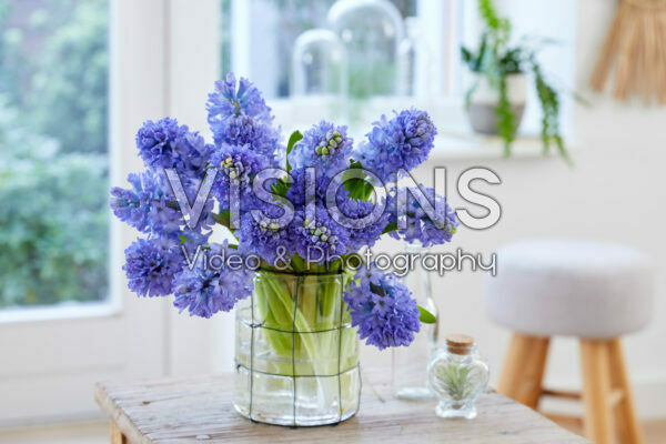 Hyacinthus Delft Blue boeket