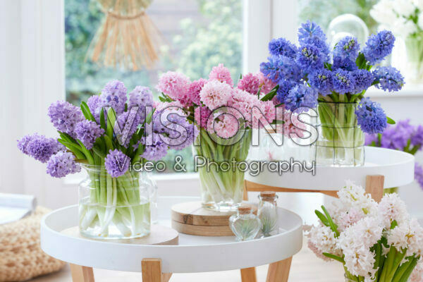 Hyacinthus bouquet combination
