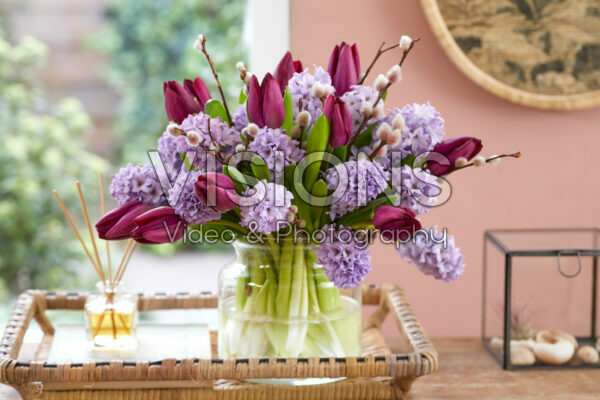 Hyacinthus Purple Star, Tulipa Bullit bouquet