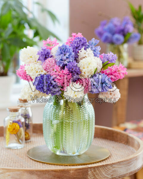 Mixed bouquet of hyacinths 