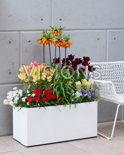 Voorjaarscontainer Voorjaarscontainer