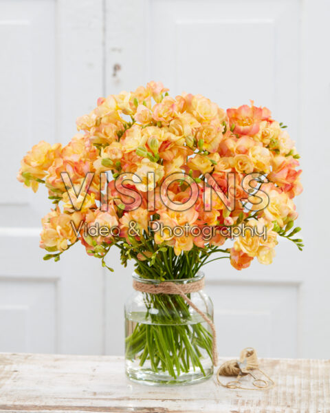 Freesia double peach