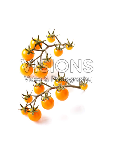Solanum lycopersicum Avalanche Yellow