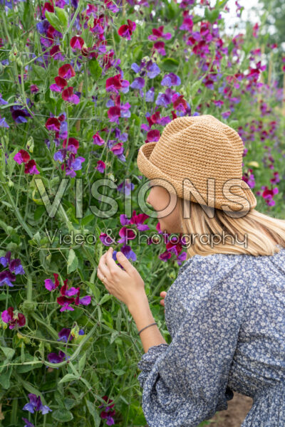 Lady smells sweet pea flowers