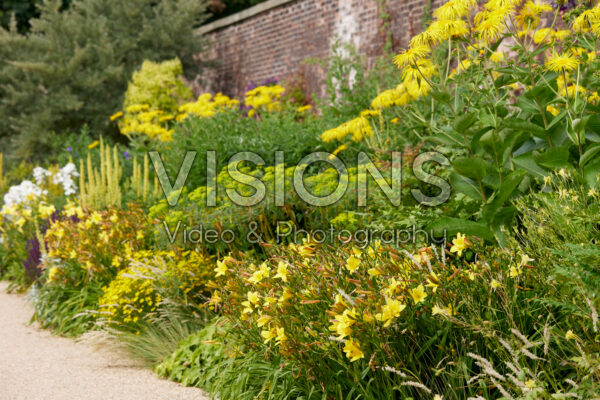 Yellow flowering perennial border
