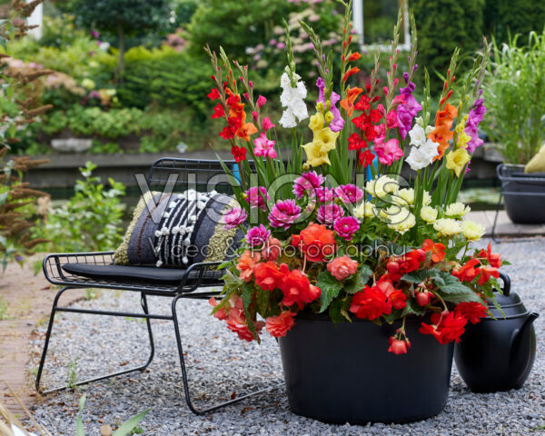 Colorful summer container Colorful summer container