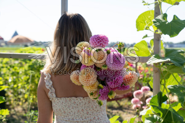 Lady holding bunch of dahlias