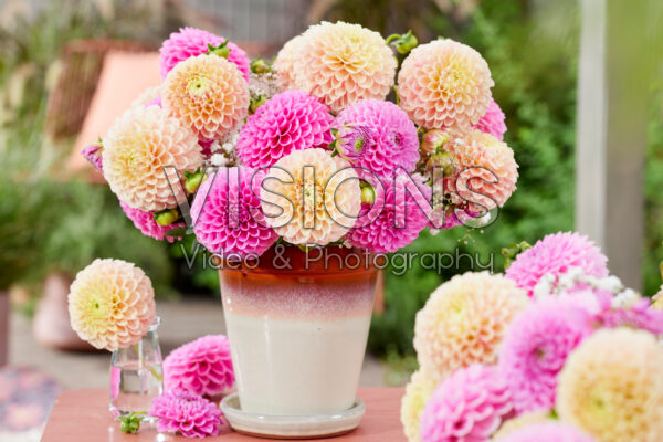 Abstract Pink Dahlia Flower Artwork - Franklin Arts