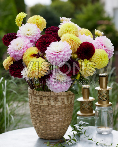 Decorative Dahlia bouquet