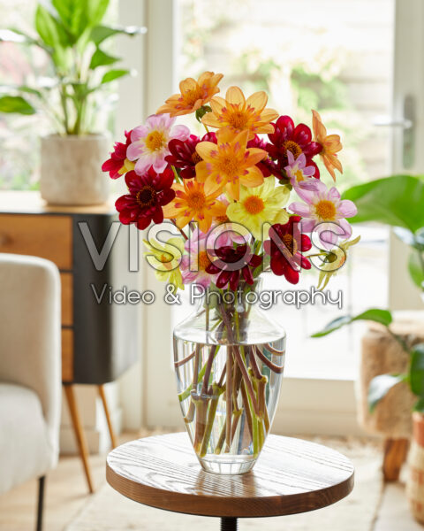 Dahlia collarette bouquet