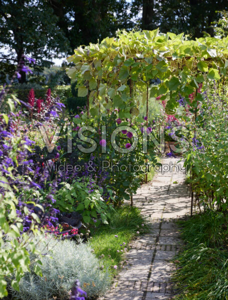 Summer garden