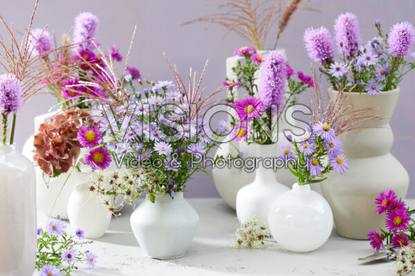 Perennial flowers in vase