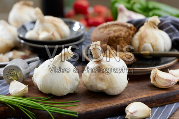Allium sativum Sabagold Allium sativum Sabagold