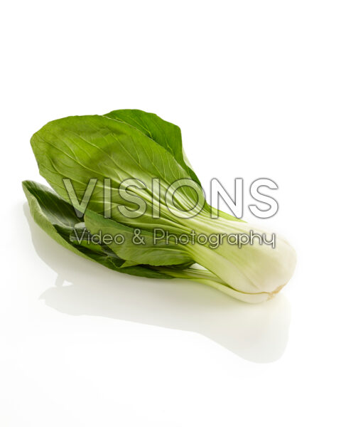 Bok Choy Shanghai, Brassica rapa var. chinensis Bok Choy Shanghai, Brassica rapa var. chinensis