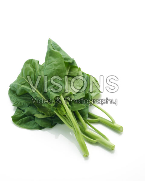 Kailan, Brassica oleracea var. alboglabra Kailan, Brassica oleracea var. alboglabra