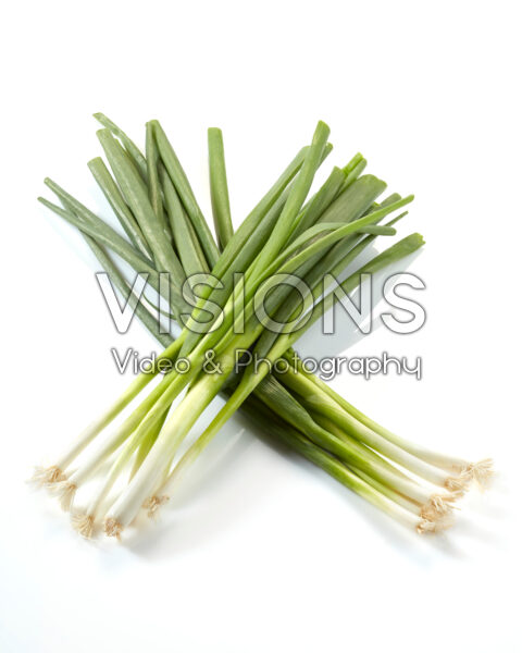 Spring onions, Allium cepa Spring onions, Allium cepa