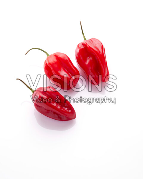 Paprika, Capsicum annuum Paprika, Capsicum annuum