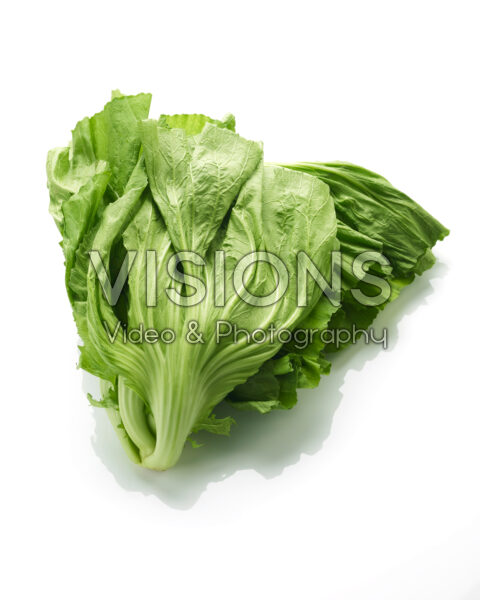 Kai Choi, Brassica juncea Kai Choi, Brassica juncea