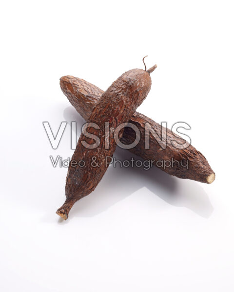 Cassava, Manihot esculenta Cassava, Manihot esculenta