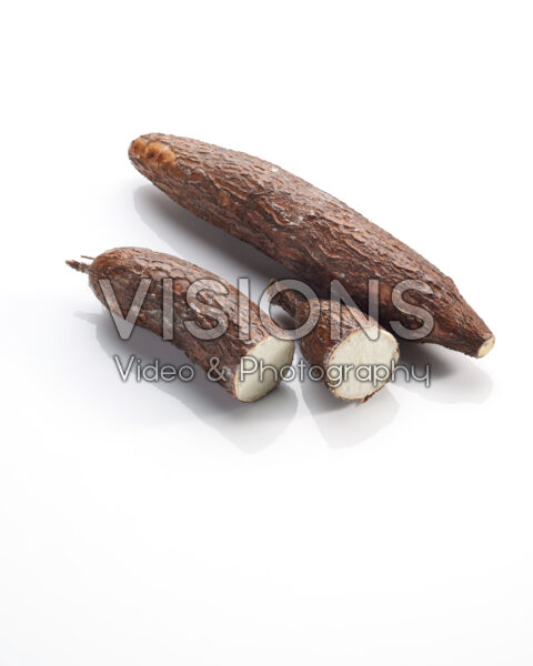 Cassava, Manihot esculenta