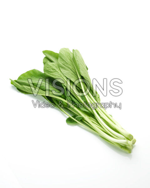 Choy Sum, Brassica chinensis var. parachinensis Choy Sum, Brassica chinensis var. parachinensis