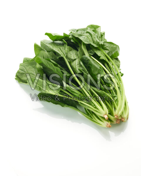 Spinach, Spinacia oleracea Spinach, Spinacia oleracea