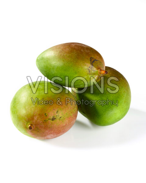 Groene mango, Mangifera indica