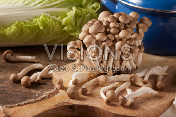 Buna-shimeji champignons, Hypsizygus tessulatus Buna-shimeji champignons, Hypsizygus tessulatus