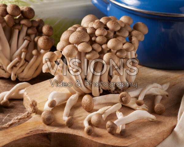 Buna-shimeji mushrooms, Hypsizygus tessulatus Buna-shimeji mushrooms, Hypsizygus tessulatus