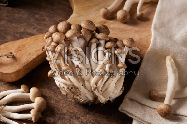 Buna-shimeji mushrooms, Hypsizygus tessulatus Buna-shimeji mushrooms, Hypsizygus tessulatus