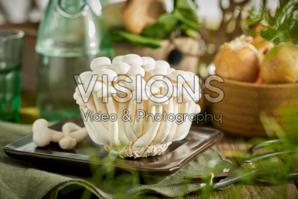 White Buna-shimeji mushrooms, Hypsizygus tessulatus White Buna-shimeji mushrooms, Hypsizygus tessulatus